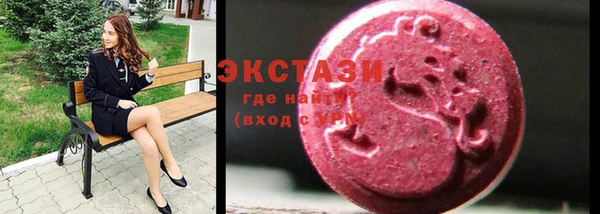 ECSTASY Бородино